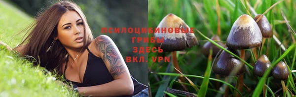 синтетический гашиш Пролетарск