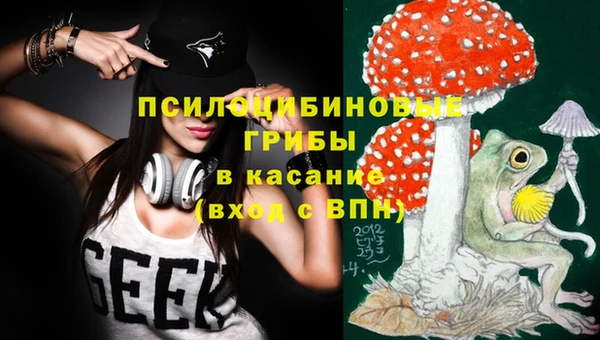 синтетический гашиш Пролетарск
