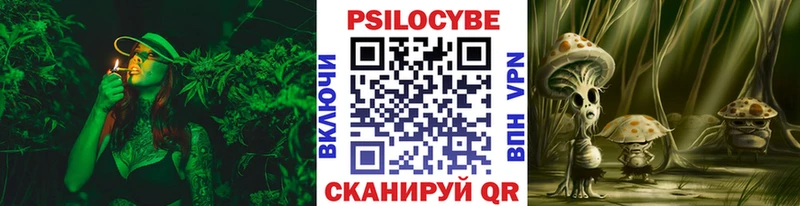 Псилоцибиновые грибы GOLDEN TEACHER  дарк нет клад  Сенгилей  блэк спрут как войти 